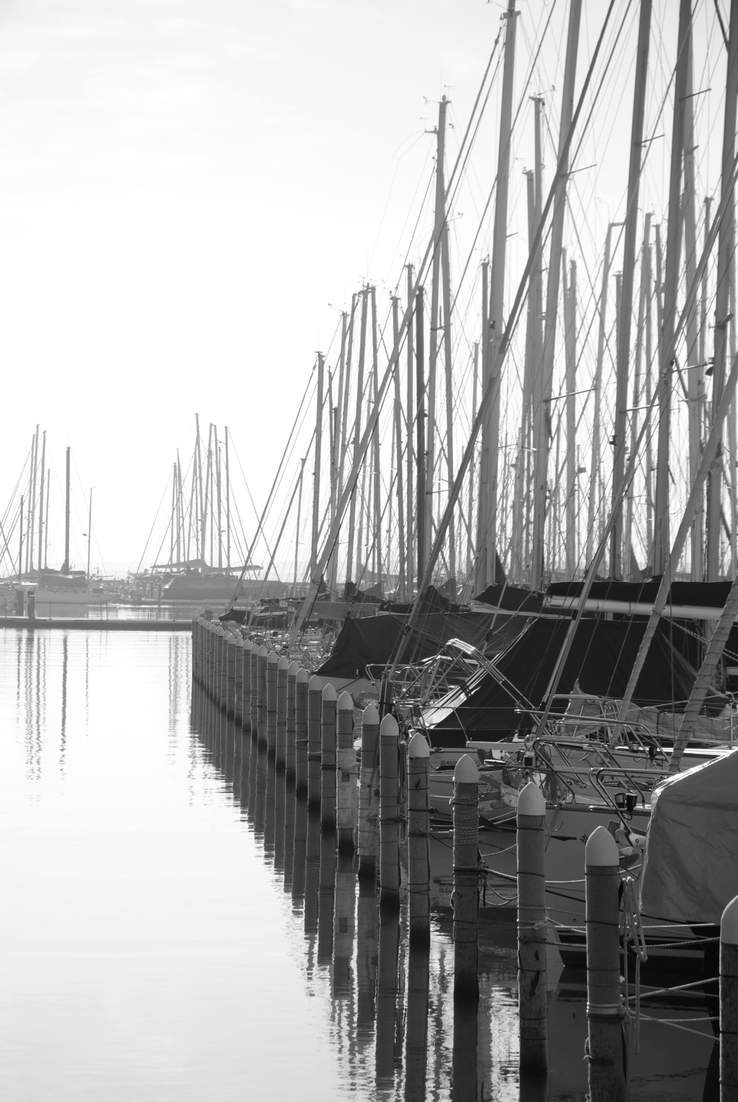 Marina di Ra - boats and seagulls