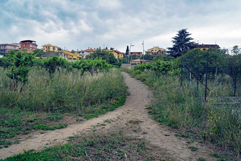 Parco dell'Acqua e del Vino - Prato Fiorito